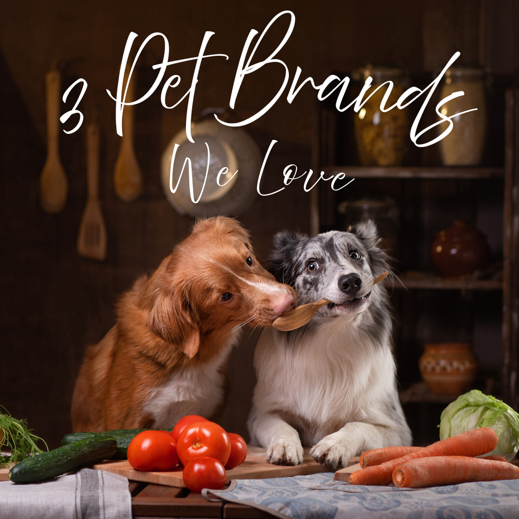 3 Pet Brands We Can't Live Without