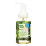 CleanWell Natural Antibacterial Foaming Handsoap Spearmint Lime 9.5 oz