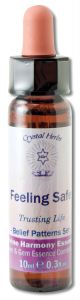 Crystal Herbs Transforming Belief Patterns Feeling Safe 10 ml