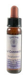 Crystal Herbs Integrating Spirit Soul Connection 10 ml