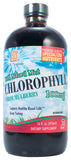 L A Naturals Chlorophyll 100mg w/Spearmint 16 OZ