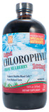 L A Naturals Chlorophyll 100mg from Mulberry Leaf 16 OZ