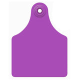 Allflex Global Maxi Blank Tags Purple 25s