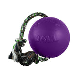 Jolly Pets Jolly Romp-N-Roll Dog Toy 6in Purple