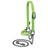 Weaver Leather Livestock Nylon Sheep Halter with Lead Lime 3 4in