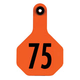 Y-Tex 3-Star Medium Numbered All-American Ear Tags 51-75 Orange
