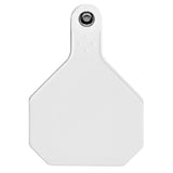 Y-Tex 4-Star Large Blank All-American Ear Tags White 25s