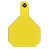 Y-Tex 4-Star Large Blank All-American Ear Tags Yellow 25s