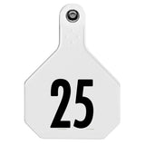 Y-Tex 4-Star Large Numbered All-American Ear Tags 1-25 White