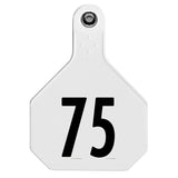 Y-Tex 4-Star Large Numbered All-American Ear Tags 51-75 White