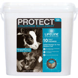 LIFELINE Protect Colostrum Supplement for Calves 10 lbs