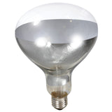 Generic Heat Lamp 250W Bulb Clear Each