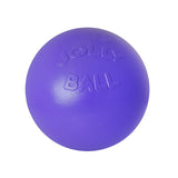 Jolly Pets Jolly Push-N-Play Dog Ball 10in Large Dog Purple