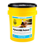 Select The Best HylaLUBE Pelleted Joint Supplement For Horses 20 lbs 9.07 kg
