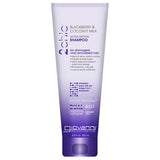 Giovanni 2chic Collection Ultra-Repair Shampoo 8.5 fl. oz. Blackberry & Coconut Milk Dual Repairing Complex Hair Care