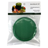 Handy Pantry Sprouting Jar Lid (fits a variety of wide mouth jars)