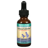 Herbs for Kids Immune Support Formula (Alcohol-Free) Echinacea/Goldenroot, Blackberry Flavored 1 fl. oz.