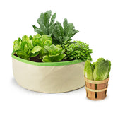 Homegrown Gourmet Harvest Grow Bags Herbs & Greens 24"D x 8"H