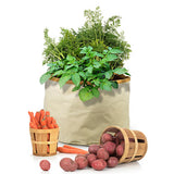 Homegrown Gourmet Harvest Grow Bags Root Vegetables 24"D x 15"H
