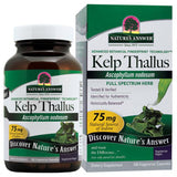 Nature's Answer Supplements Kelp 66 mg 100 vegetarian capsules Single Herb