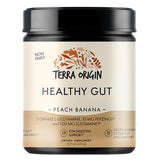 Terra Origin Healthy Gut & Digestion Healthy Gut Powder, Peach Banana 8.25 oz.