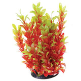 Underwater Treasures Red Ludwigia - 12