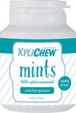 Xylichew Xylichew Wintergreen Mint Jar 140 PC