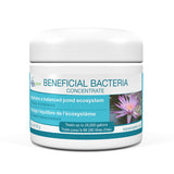 Aquascape Beneficial Bacteria Concentrate - 125 g