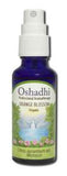 Oshadhi Hydrosols Orange Blossom Organic 30 mL