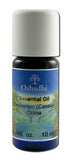 Oshadhi Essential Oil Singles Cinnamon Cassia 10 mL