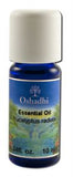 Oshadhi Essential Oil Singles Eucalyptus Radiata Wild 10 mL