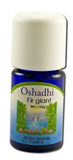 Oshadhi Essential Oil Singles Fir Giant 5 mL