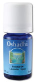 Oshadhi Essential Oil Singles Lavender Spike Wild 5 mL