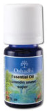 Oshadhi Essential Oil Singles Lavender Sweet Lavandin 5 mL