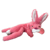 PetSport No Stuffies - Rabbit