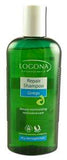 Shampoos Repair Gingko 8.5 oz