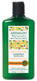Andalou Naturals Argan & Shea Moisture Shampoo 11.5 OZ