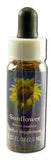 Flower Essence Services (fes) North American Flower Essences Sunflower