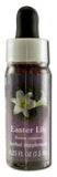 Flower Essence Services (fes) North American Flower Essences Easter Lily