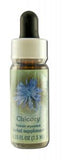 Flower Essence Services (fes) Healing Herbs English Flower Essences Chicory