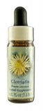Flower Essence Services (fes) Healing Herbs English Flower Essences Clematis