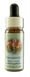 Flower Essence Services (fes) Healing Herbs English Flower Essences Honeysuckle