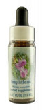 Flower Essence Services (fes) Healing Herbs English Flower Essences Impatiens