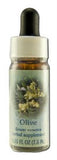 Flower Essence Services (fes) Healing Herbs English Flower Essences Olive