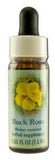 Flower Essence Services (fes) Healing Herbs English Flower Essences Rockrose