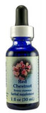 Flower Essence Services (fes) Healing Herbs English Flower Essences Red Chestnut