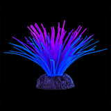 Underwater Treasures Sea Anemone - Purple/Blue