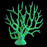 Underwater Treasures Gorgonian - Lime Green