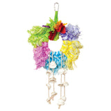 Prevue Hendryx Calypso Creations Ropes & Shell Ring - Multi-color