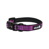 Alcott Adventure Collar - Purple - S